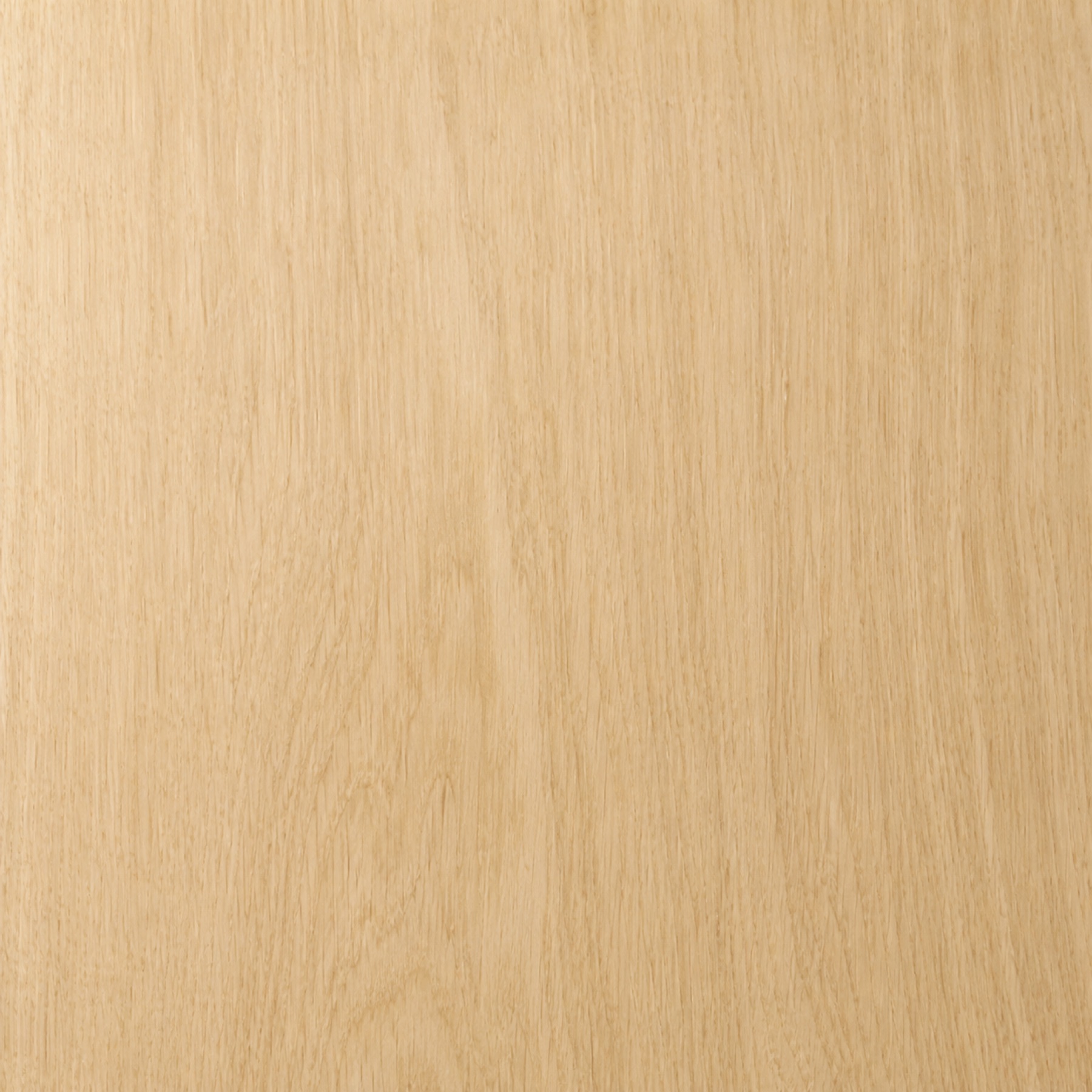 Congona — muestra de madera con veta y color