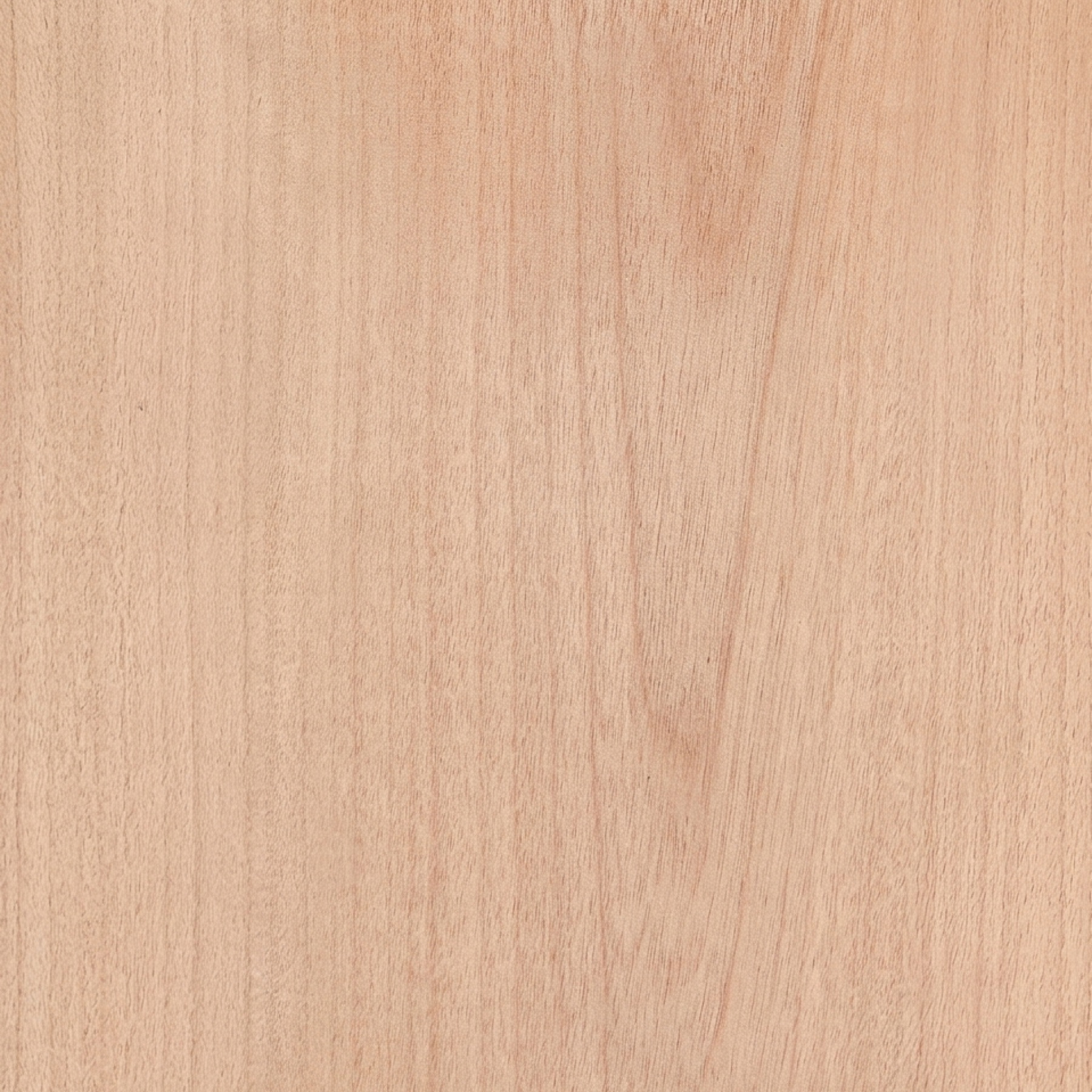 Cumala — muestra de madera con veta y color