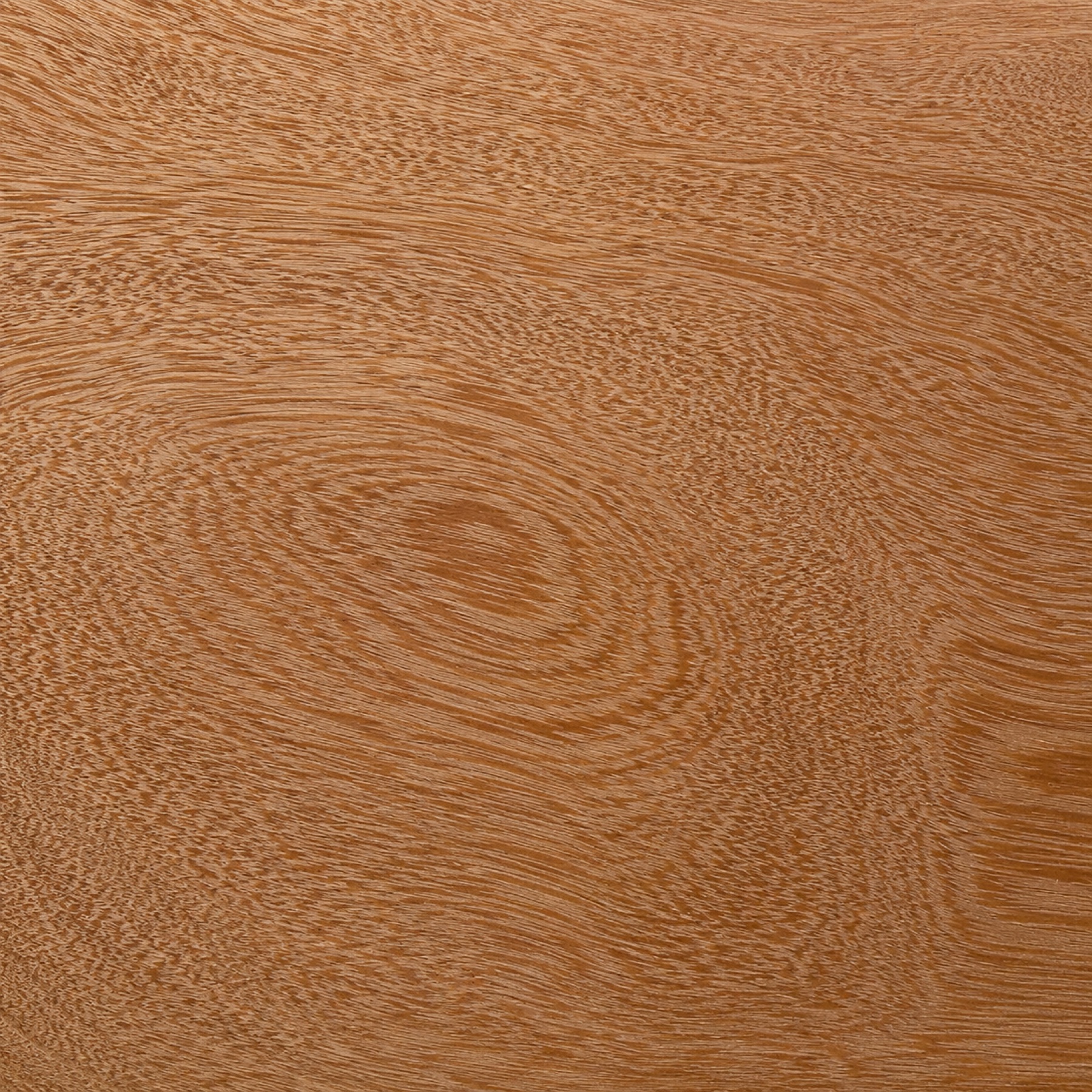 Huayruro — muestra de madera con veta y color