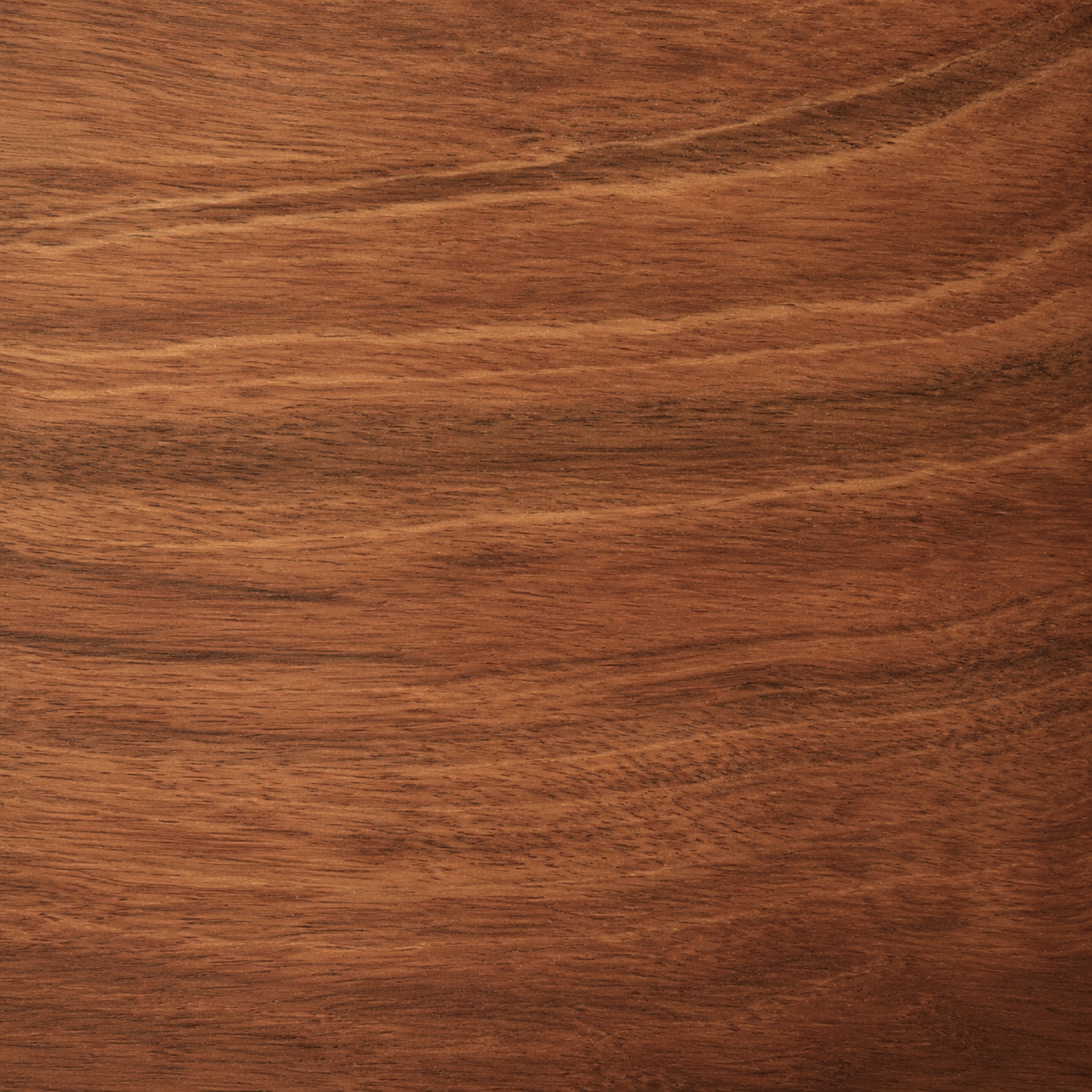 Jatoba — muestra de madera con veta y color