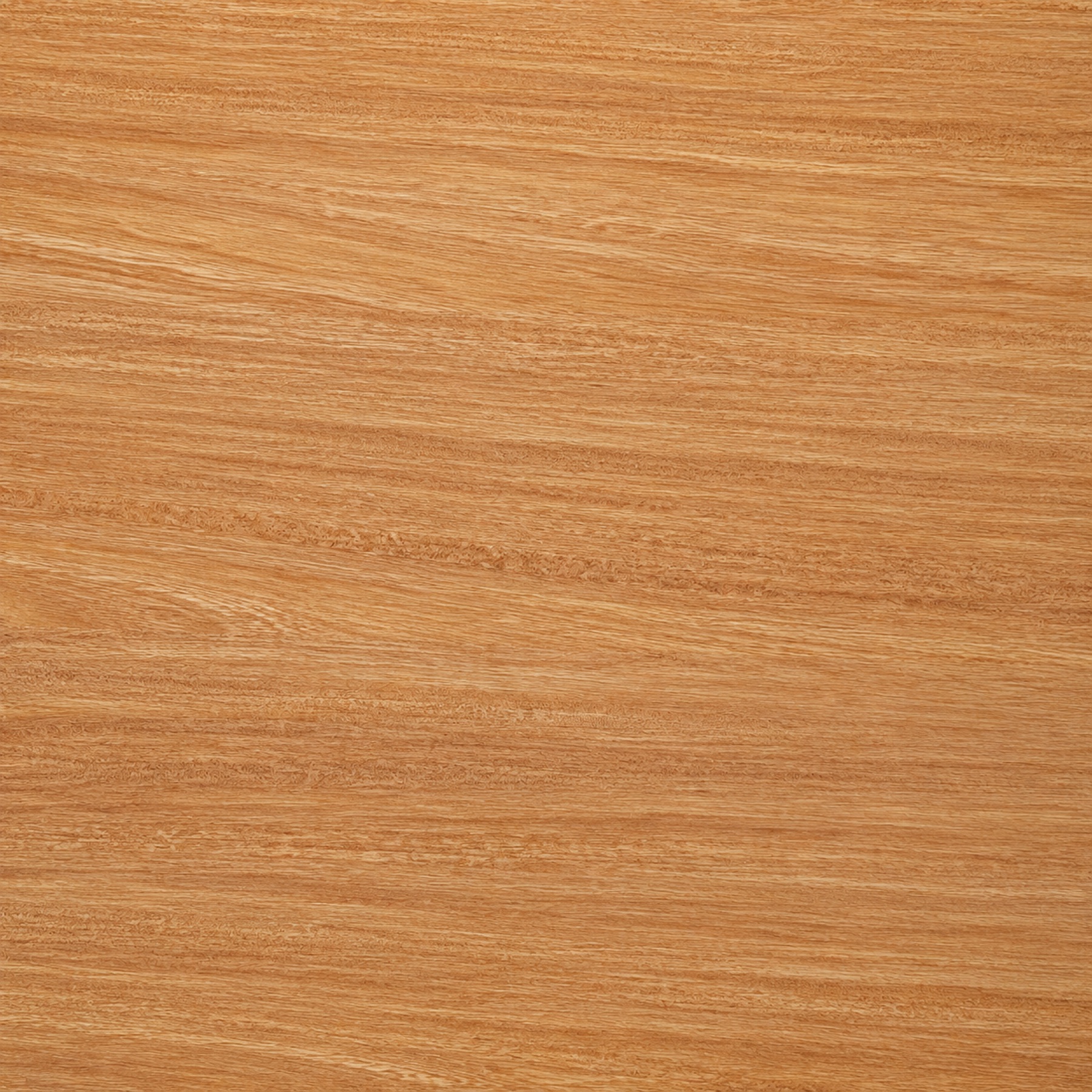 Pumaquiro — muestra de madera con veta y color