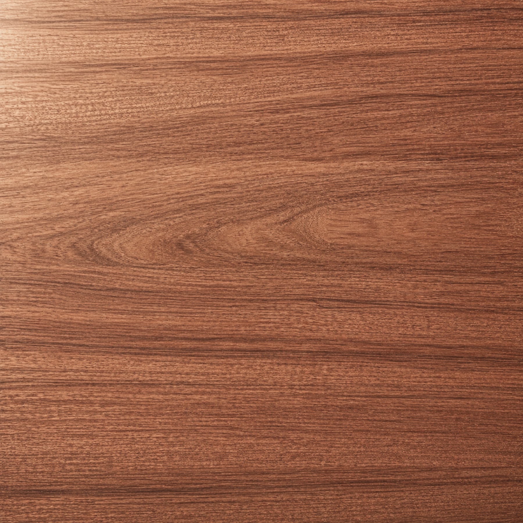 Quinilla — muestra de madera con veta y color