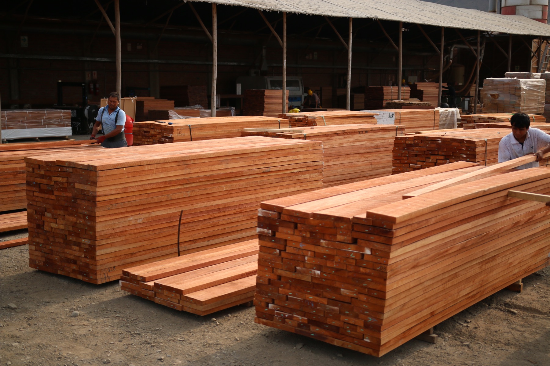 Stock de madera en bruto en planta
