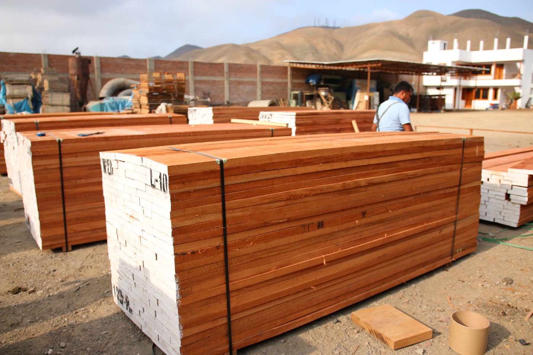Lotes de madera en bruto empaquetados